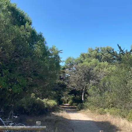 Maison 5 Personnes A Barbatre, Proche Plage, Animaux Admis - Fr-1-823-3 * ברבטרה